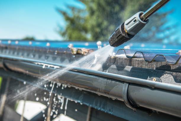 Best Roof Pressure Washing  in Lake Isabella, MI