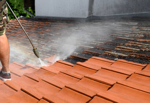 Best Best Pressure Washing Companies  in Lake Isabella, MI