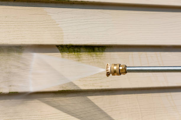 Best Residential Pressure Washing Services  in Lake Isabella, MI