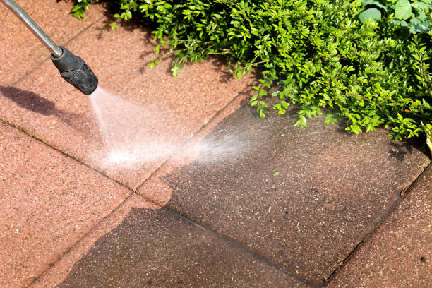 Best Roof Power Washing Services  in Lake Isabella, MI