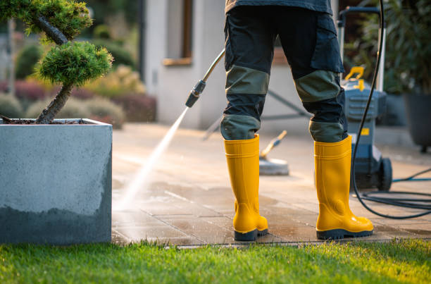 Roof Power Washing Services in Lake Isabella, MI